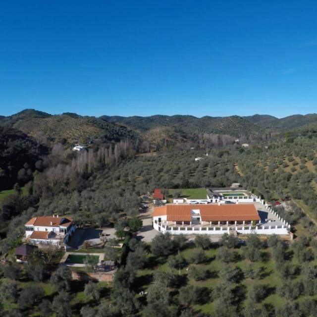 Alojamientos Las Navas - Visita Sierra Morena Sevilla