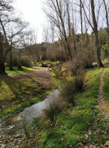 Turismo Activo Las Navas - Visita Sierra Morena Sevilla